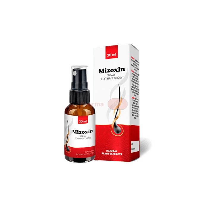 ❀ Mizoxin ⏤ hair restoration product