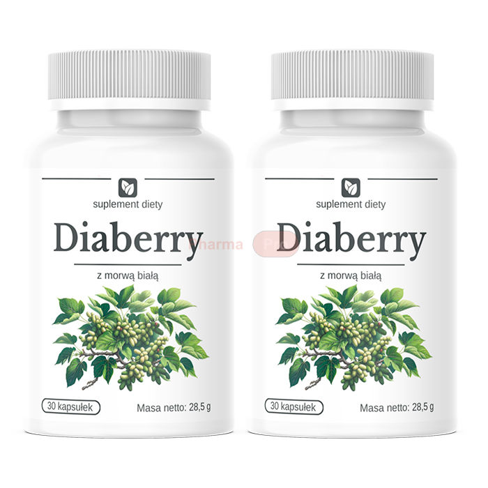 ❀ Diaberry ⏤ means for normalizing sugar levels